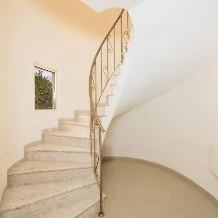 Willa Coralia Dream 11 *