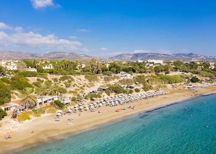 Coralia Dream 11 * 페이야